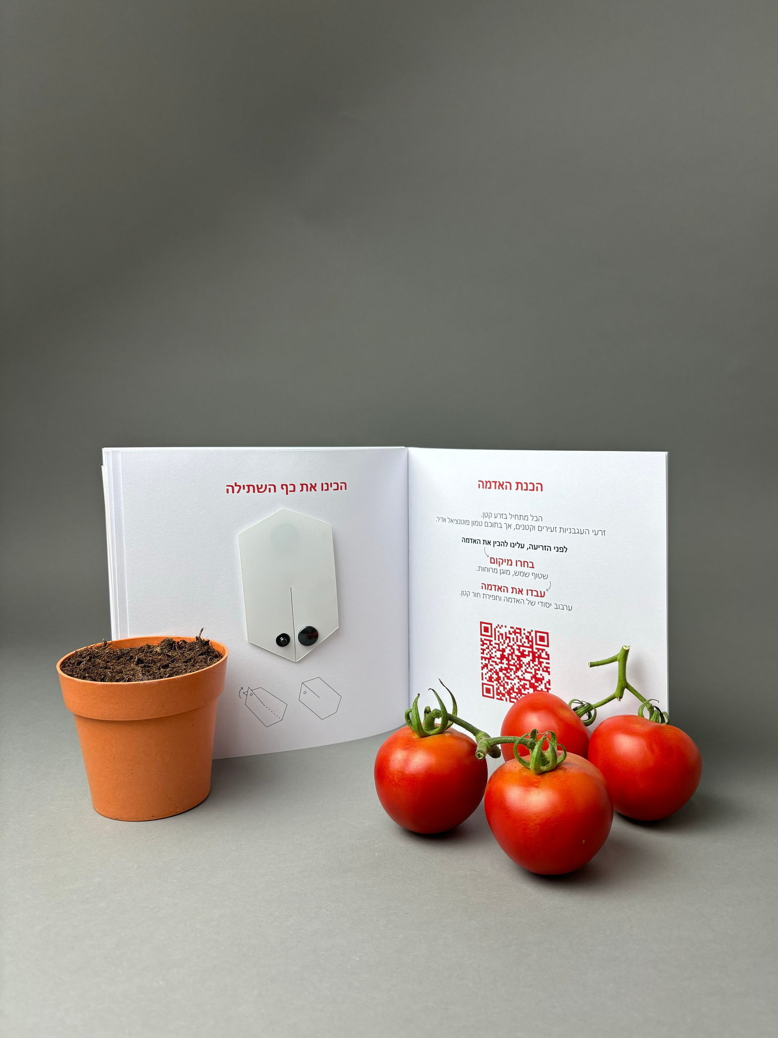The book opened to its planting instruction spread, beside a terracotta pot of soil and fresh tomatoes