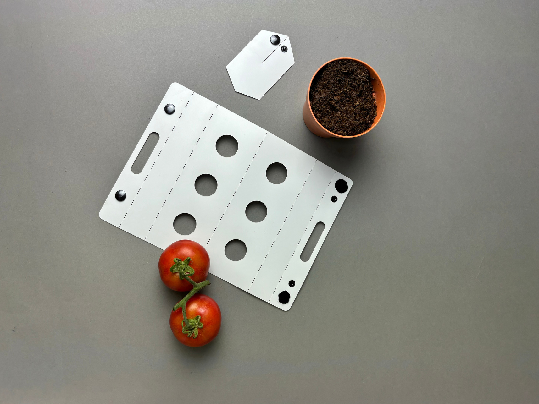The white tomato carrier with circular openings revealing the red tomatoes inside