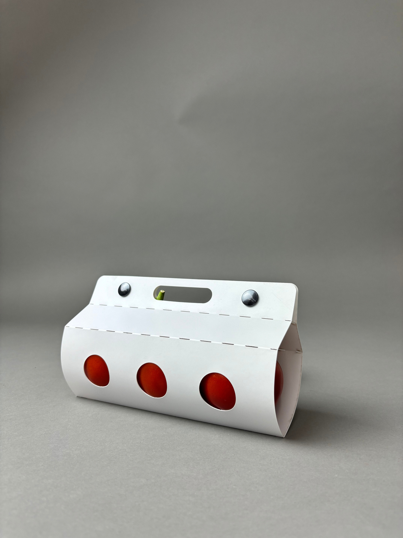 Flat-lay of the kit components: packaging template, pot with soil, fresh tomatoes